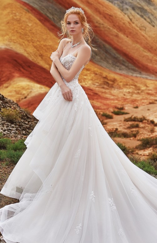 Elegant A-Line Tulle & Lace Wedding Dress with chapel train